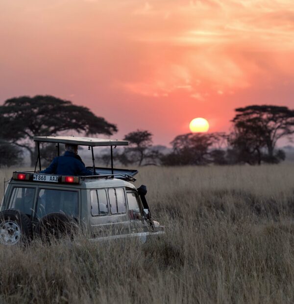 3 Days Tanzania Safari