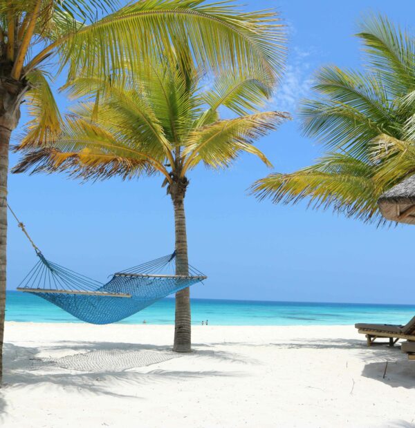 12 days honeymoon Tanzania and Zanzibar